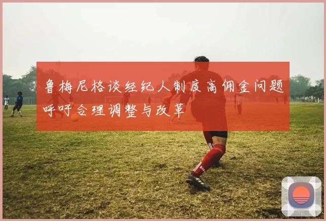 鲁梅尼格谈经纪人制度高佣金问题呼吁合理调整与改革